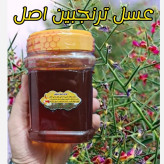 عسل تک گل طبیعی ترنجبین اصل 1 کیلویی-بیابانی(خرید مستقیم از زنبوردار ) ارسال رایگان