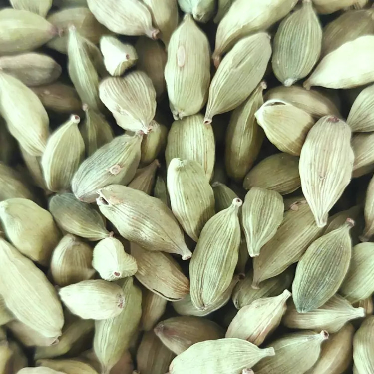 هل اکبر بنفش درشت 50 گرمی درجه یک هندوستان