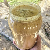 عسل طبیعی تک گل کنار سفارشی اصل (صدر عربی) 12/5 کیلو.جنگلی (خرید مستقیم از زنبوردار) ارسال رایگان