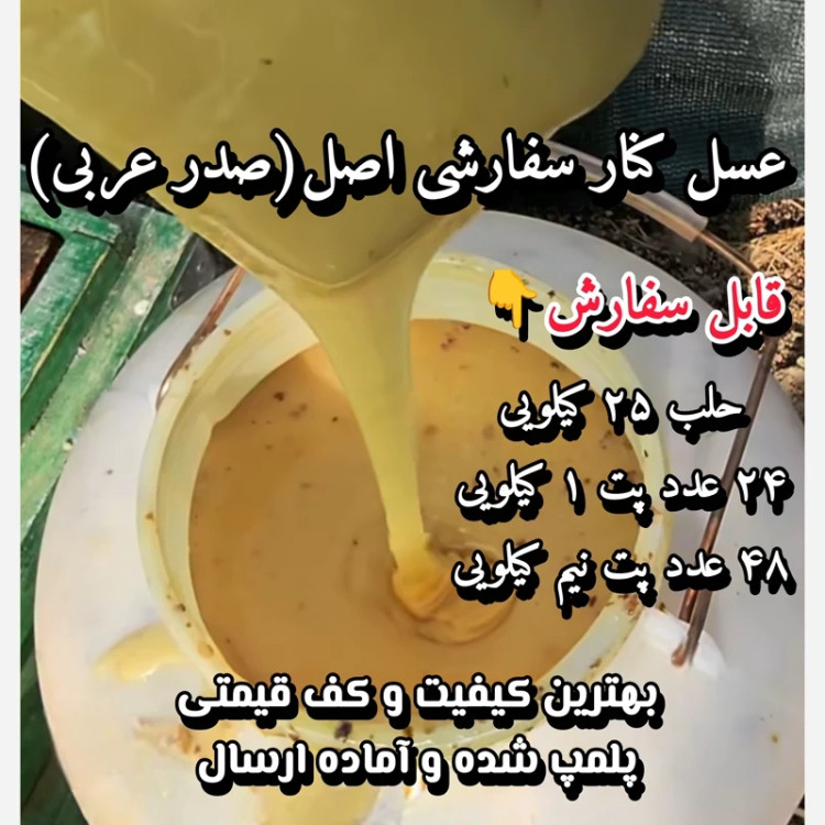 عسل طبیعی تک گل کنار سفارشی اصل(صدر عربی) 25 کیلو. جنگلی. قیمت عمده(خرید مستقیم از زنبوردار) ارسال رایگان