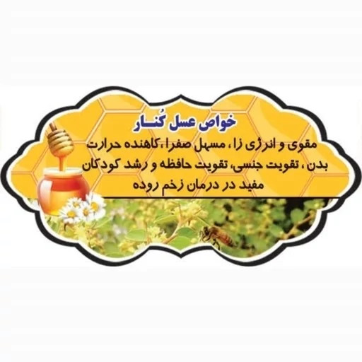 عسل طبیعی تک گل کنار سفارشی اصل(صدر عربی) 25 کیلو. جنگلی. قیمت عمده(خرید مستقیم از زنبوردار) ارسال رایگان