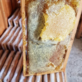 عسل قاب چوبی مومی گون کتیرا 2.700 کیلویی با چوب(خرید مستقیم از زنبوردار ) ارسال رایگان
