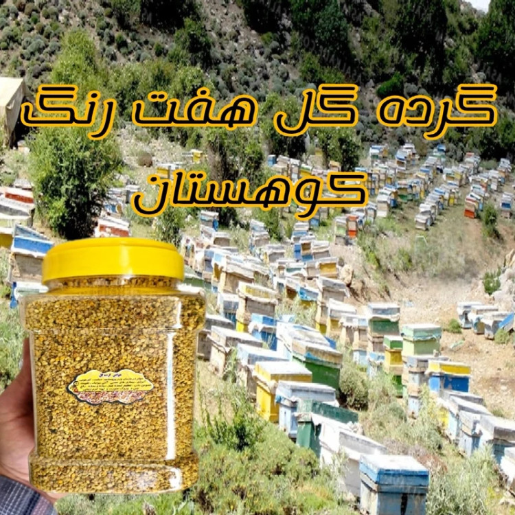 گرده گل کوهستان 1 کیلویی(خرید مستقیم از زنبوردار )
