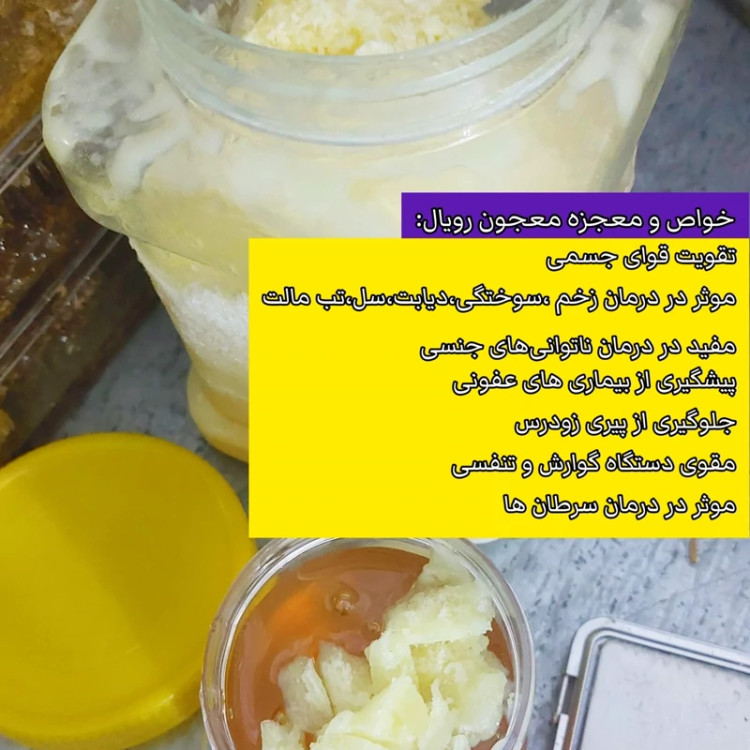 ژل رویال غذای ملکه درمانی (ترکیب عسل چندگیاه کوهستان با ژل رویال ایرانی)