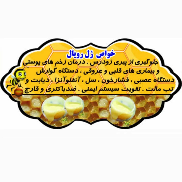 ژل رویال (غذای ملکه-ژل سلطتنی)10 گرم اصل ایرانی - غذای ملکه(خرید مستقیم از زنبوردار ) مخلوط با 100گرم عسل انگبین اصل