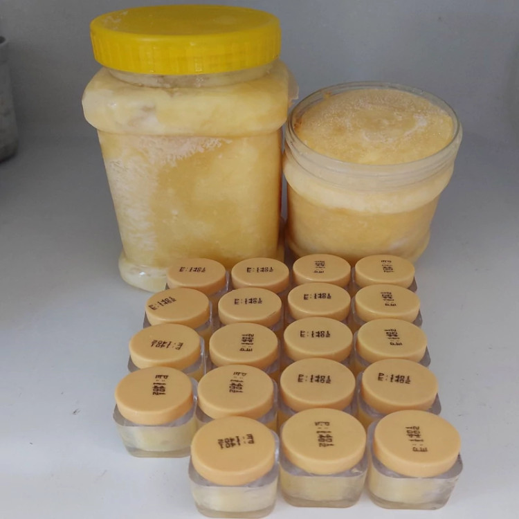 ژل رویال (غذای ملکه-ژل سلطتنی)10 گرم اصل ایرانی - غذای ملکه(خرید مستقیم از زنبوردار ) مخلوط با 100گرم عسل انگبین اصل
