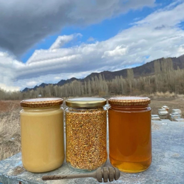 معجون عسل طبیعی و گرده گل کوهستان و ژل رویال اصل ایرانی (ارسال رایگان)