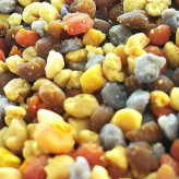 معجون عسل طبیعی و گرده گل کوهستان و ژل رویال اصل ایرانی (ارسال رایگان)