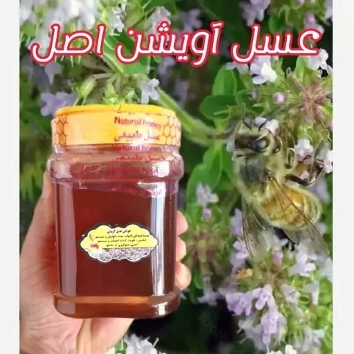 عسل طبیعی تک گل آویشن 12/5 کیلویی. کوهی . قیمت عمده (خرید مستقیم از زنبوردار)