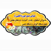 عسل طبیعی تک گل گون کتیرا (گون زرد) اصل 12/5 کیلویی.کوهی(خرید مستقیم از زنبوردار)ارسال رایگان