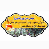 عسل طبیعی تک گل انگبین اصل 24 کیلو .کوهی.(خرید مستقیم از زنبوردار) ارسال رایگان