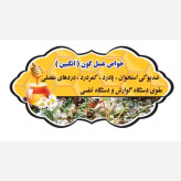 عسل طبیعی تک گل انگبین اصل 24 کیلو .کوهی.(خرید مستقیم از زنبوردار) ارسال رایگان