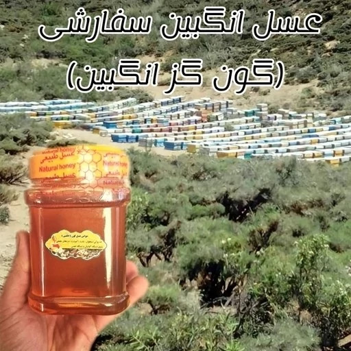 عسل طبیعی تک گل انگبین اصل 24 کیلو .کوهی.(خرید مستقیم از زنبوردار) ارسال رایگان