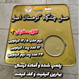 عسل چندگیاه کوهستان اصل 12/5 کیلویی.کوهی. به قیمت عمده(خرید مستقیم از زنبوردار)ارسال رایگان
