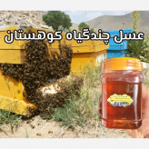 عسل چندگیاه کوهستان اصل 12/5 کیلویی.کوهی. به قیمت عمده(خرید مستقیم از زنبوردار)ارسال رایگان