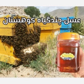 عسل چندگیاه کوهستان اصل 25 کیلو. به قیمت عمده (خرید مستقیم از زنبوردار) ارسال رایگان