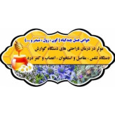 عسل چندگیاه کوهستان اصل 25 کیلو. به قیمت عمده (خرید مستقیم از زنبوردار) ارسال رایگان