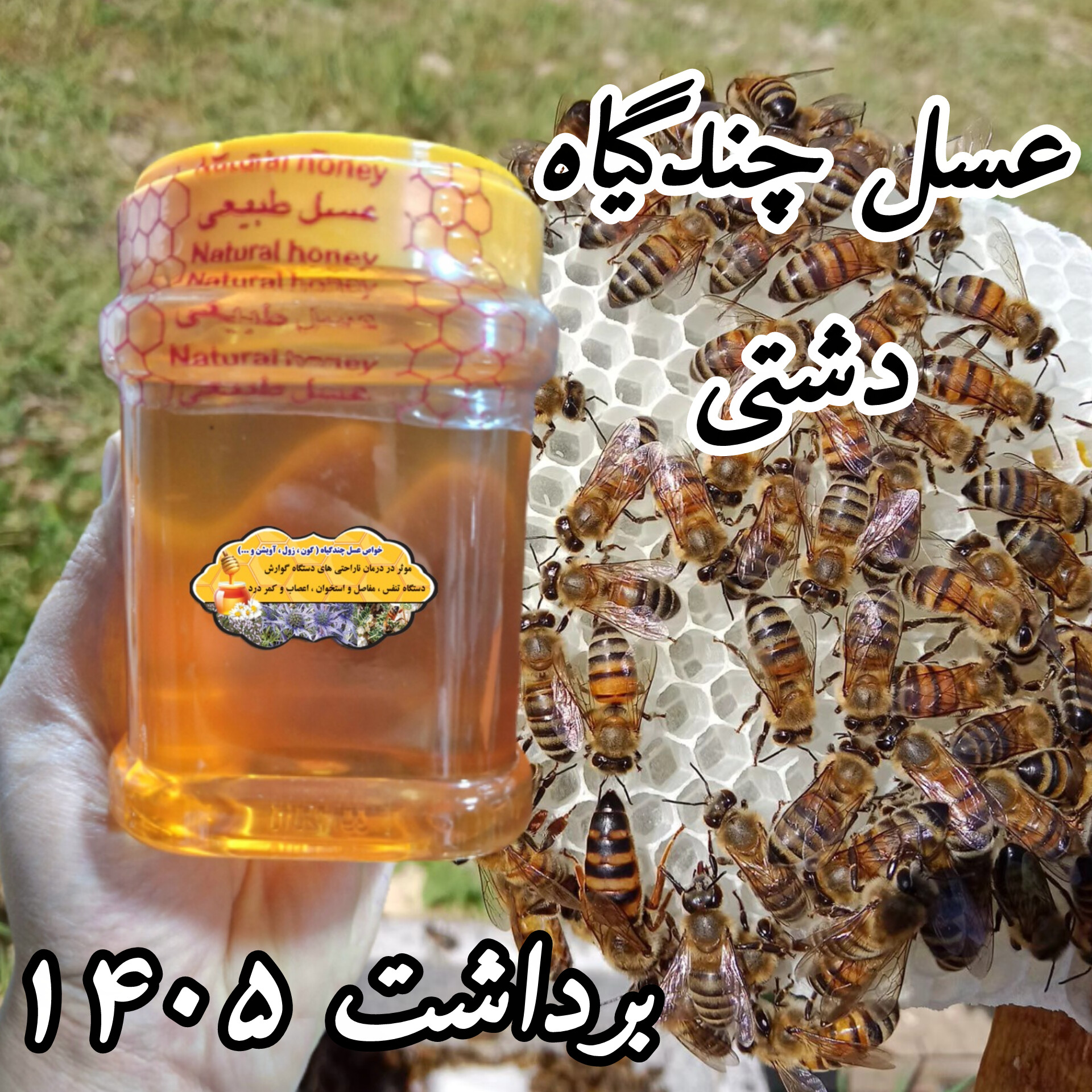 عسل چندگیاه پاییزه 1 کیلویی .دشتی (خرید مستقیم از زنبوردار)ارسال رایگان)