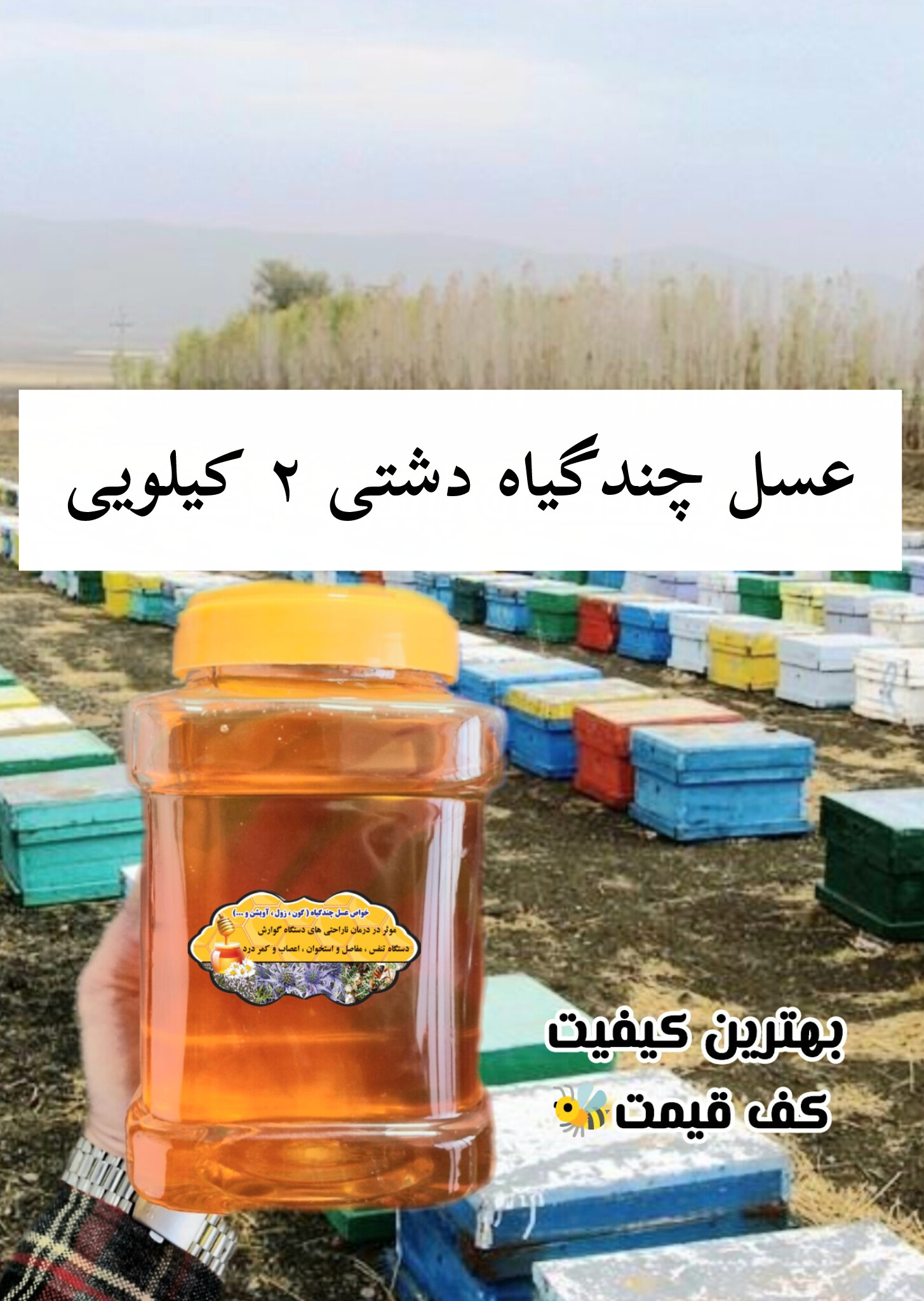 عسل چندگیاه پاییزه 2 کیلویی.دشتی( خرید مستقیم از زنبوردار)