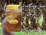 عسل چندگیاه پاییزه.دشتی.۱۲/۵ کیلو به قیمت عمده (خرید مستقیم از زنبوردار) ارسال رایگان