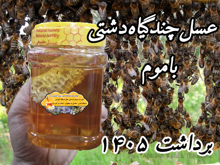 عسل چندگیاه پاییزه.دشتی.۱۲/۵ کیلو به قیمت عمده (خرید مستقیم از زنبوردار) ارسال رایگان