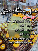 عسل چندگیاه پاییزه.دشتی.۱۲/۵ کیلو به قیمت عمده (خرید مستقیم از زنبوردار) ارسال رایگان