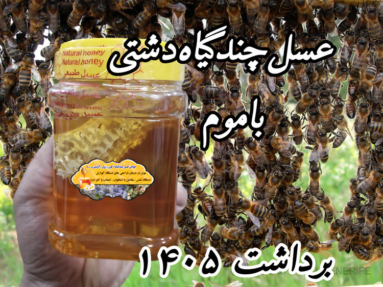 عسل چندگیاه پاییزه.دشتی. 25 کیلو به قیمت عمده (خرید مستقیم از زنبوردار) ارسال رایگان
