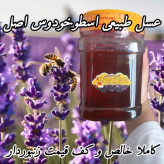 عسل طبیعی تک گل اسطوخودوس اصل .۱۲/۵ کیلو به قیمت عمده.دشتی و بیابانی(خرید مستقیم از زنبوردار)ارسال رایگان