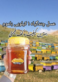 عسل چندگیاه تابستان فریدن 2۵ کیلو. دشتی و کوهی به قیمت عمده (خرید مستقیم از زنبوردار)