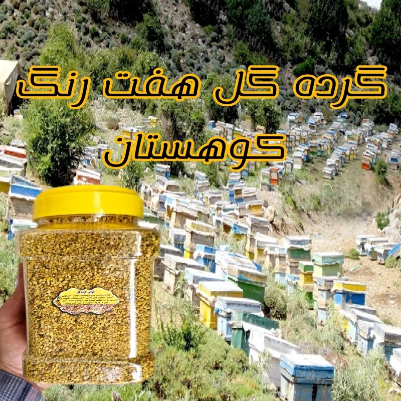 گرده گل کوهستان نیم کیلویی(خرید مستقیم از زنبوردار )