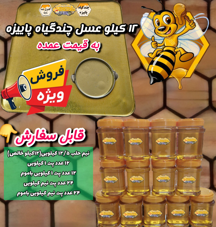 عسل چندگیاه پاییزه.دشتی.۱۳ کیلو به قیمت عمده (خرید مستقیم از زنبوردار) ارسال رایگان